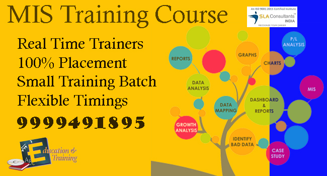 Join Best MIS Training Course in Delhi at SLA Consultants India 